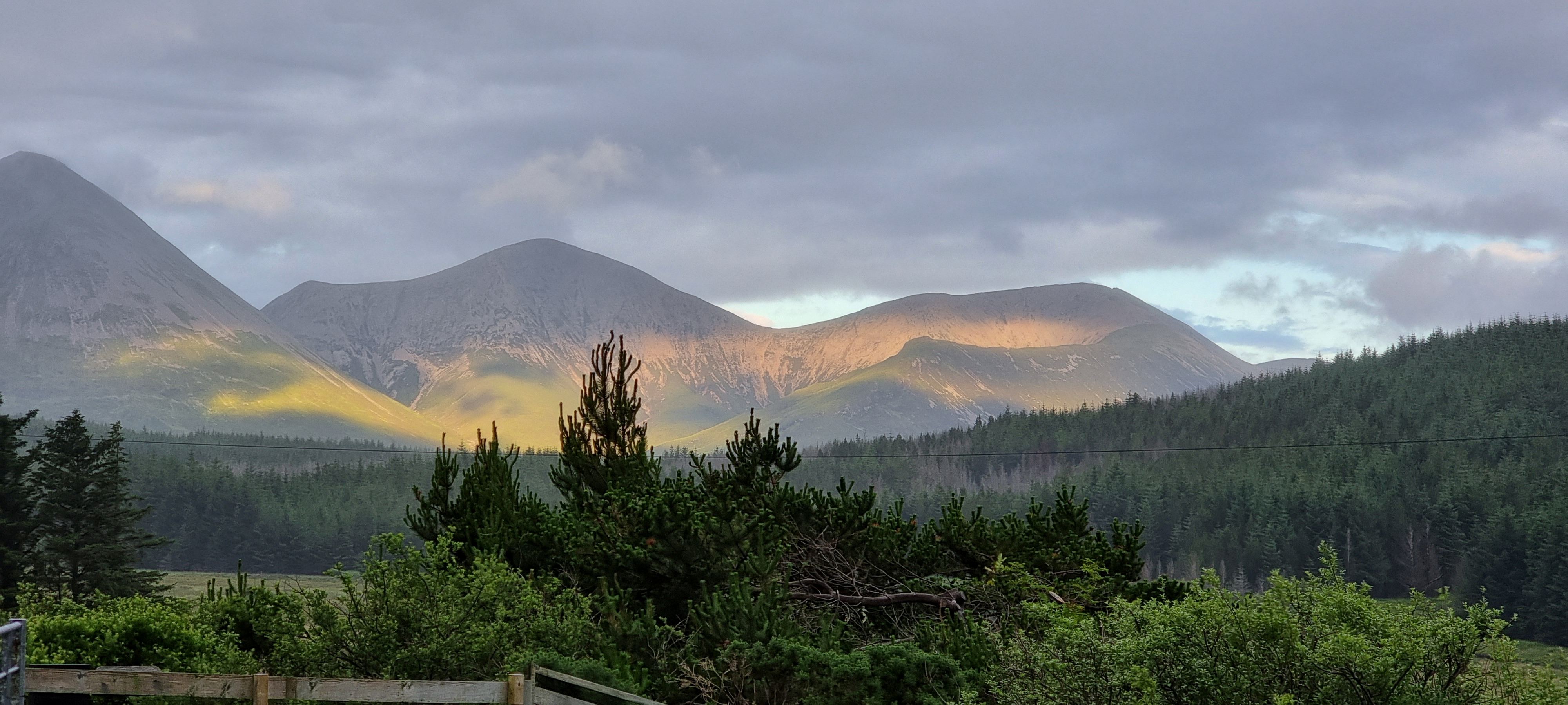 Page header image